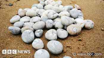 West Bay: Pebbles fitted with trackers for beach study - BBC