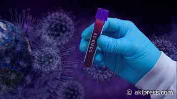 Kazakhstan reports 54 new daily coronavirus infections - AKIpress