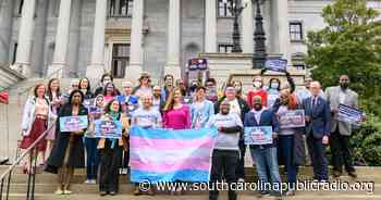 Protecting doctors' beliefs or enabling discrimination? S.C.'s new medical conscience law - South Carolina Public Radio