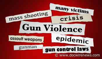 Commentary: Leveraging Medical Society Meeting Dollars to Address the Public Health Threat of Assault Weapons in the USA - DocWire News