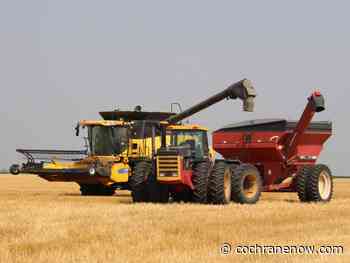 Canada announces interest relief for farmers - CochraneNow.com