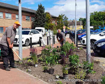 Harrogate garden designer wins silver at BBC Gardener's World Live and donates winning garden to Harrogate Hospital — Harrogate Informer - Harrogate Informer