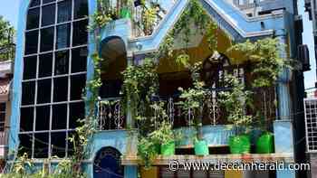 Rich BDA 'gardener' under scanner after raids - Deccan Herald