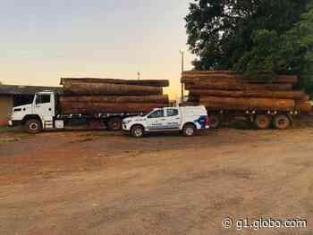 Caminhão e reboque carregados de madeira ilegal são apreendidos em Alta Floresta do Oeste, RO - Globo