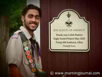 Amherst youth earns Eagle Scout rank helping rescued horses in Wellington Township - The Morning Journal