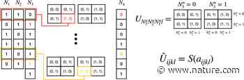 Model architecture can transform catastrophic forgetting into positive transfer | Scientific Reports - Nature.com