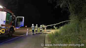 Umgekippter Baum sorgt für Feuerwehrsatz in der Nähe von Bad Hersfeld - hersfelder-zeitung.de