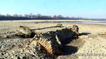 Siccità, a Cremona campi di mais troppo aridi: i contadini prendono l’acqua con i trattori Le immagini dal drone - Corriere TV
