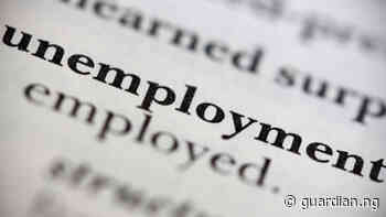 Civil society laments unemployment in Rivers | The Guardian Nigeria News - Nigeria and World News — Nigeria - Guardian Nigeria
