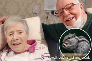 Missing squirrel mystery at Oldham care home - The Oldham Times