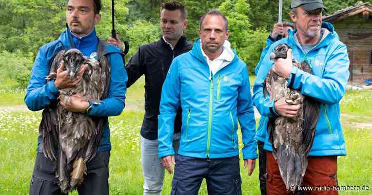 Geier Dagmar und Recka trainieren für Erstflug