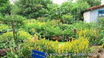 Gärten in Bad Teinach-Zavelstein - Weniger Schotter, mehr Biodiversität - Schwarzwälder Bote