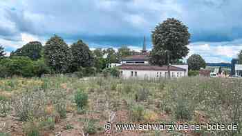 Bestattungen in Calw - Begraben unter Bäumen - Heumaden bekommt einen Ruhehain - Schwarzwälder Bote