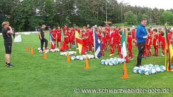 Fußballcamp - Nachwuchskicker lernen in Calw von einem Weltmeister - Schwarzwälder Bote
