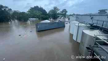 Ice cream factory in flood-ravaged Lismore set to stand down 200 workers