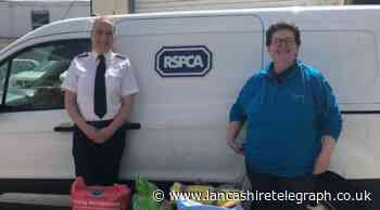 RSPCA Food Bank appeals for Lancashire pet food donations