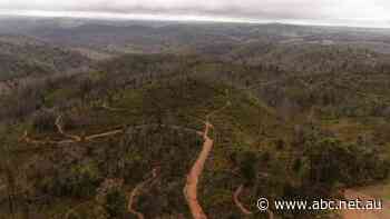 SA opposition slams decision to scrap plans for mountain bike path, as government says money needs to be spent on health