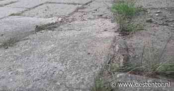 Olst-Wijhe trekt portemonnee om wortelopdruk (en claims door ongelukken) tegen te gaan - De Stentor