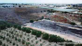 Trani, un drone per monitorare gli incendi di contrada Monachelle - Gazzetta del Sud