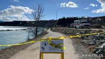 Whitehorse's Millennium Trail set to reopen Friday - CBC.ca