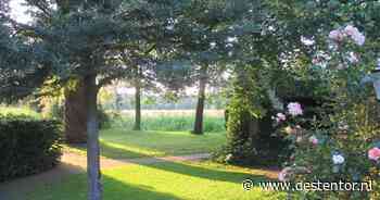 Tuinen in Brummen en Tonden komende zondag open voor publiek - De Stentor
