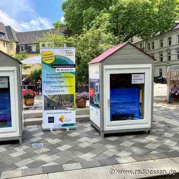 Essen: Eisblockwette im Eltingviertel - Radio Essen