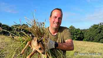 Essen: Wie Mähmaschinen und Hunde Rehkitze gefährden - WAZ News