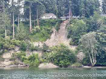 Bluff slides near Langley waterfront residence - South Whidbey Record