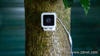 The 5 best security cameras of 2022