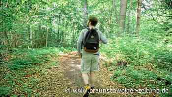 Wolfsburger Zeitreise: Wanderung durch unsere Jurassic-World