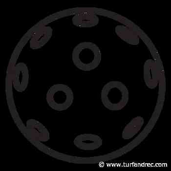 Pickleball courts to be lit up in Quesnel, BC, but supply chain issues may cause delay - Turf & Rec