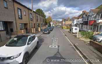 Bruce Grove Orpington: Arrests after gun found