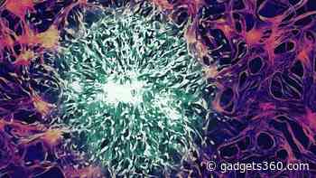Researchers Develop Nanoparticles That Can Deliver Chemotherapy Drug to Brain, Help Kill Cancer Cells