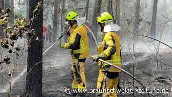 Waldbrand bei Mühlberg eingedämmt