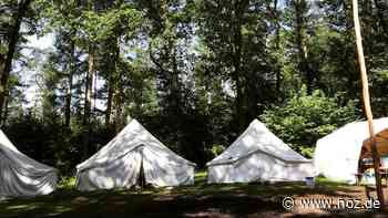 Fällt das Galliercamp aus?: Zeltlager in Hasbergen beklagen starken Teilnehmerschwund - NOZ