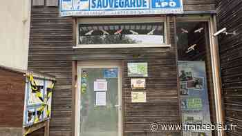 L'accueil du centre de sauvegarde de la faune sauvage de Villeveyrac est temporairement suspendu - France Bleu