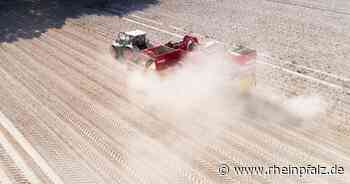 Bauern erwarten wegen Trockenheit geringere Ernteerträge - Wirtschaft - Rheinpfalz.de