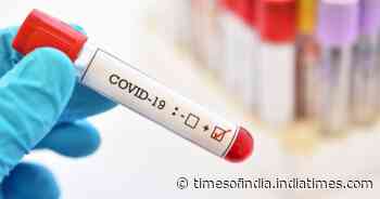 Coronavirus explainer: THESE are the silent indicators of COVID which should never be overlooked - Times of India