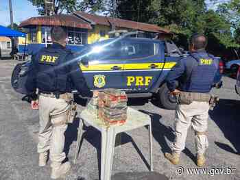 PRF apreende 16kg de cocaína e 7kg de oxi, em Castanhal/PA - Governo Federal