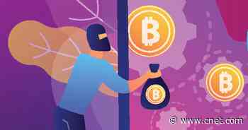 Crypto Security: Protect Your Coins and NFTs From Being Stolen     - CNET