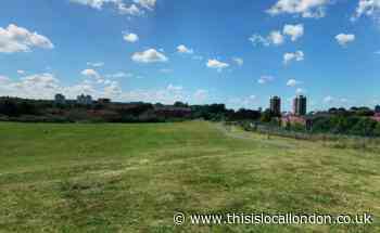 New Cross: Hunt for owner after pit bull attack in Bridgehouse Meadows
