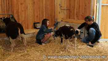 Die Augsburger youfarm hat jetzt einen modernen Stall