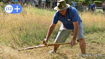 Kleine Gartenschau Oschatz: Das ist am Sonnabend los - Leipziger Volkszeitung