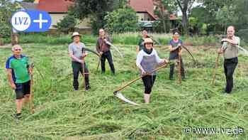 Der schnellste Nordsachse mit der Sense tritt bei Sachsenmeisterschaft in Oschatz an - Leipziger Volkszeitung