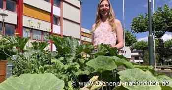 Junge Umweltplanerin in Herzogenrath: Hochbeete vor dem Rathaus als Inspiration für die Bürgerschaft - Aachener Nachrichten