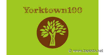 Can Cryptocurrency Harm the Environment? | Yorktown, NY News TAPinto - TAPinto.net