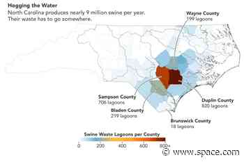 Harmful pig poop lagoons mapped from space (images)