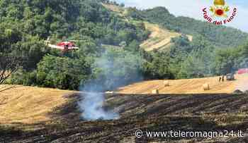 FORLI': Vasto incendio in un campo, in volo l'elicottero per spegnere il rogo | FOTO - Teleromagna24
