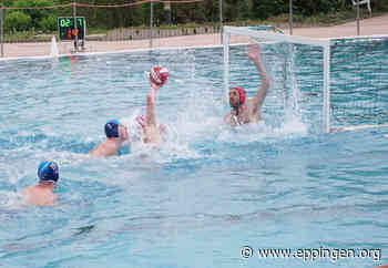 ▷ Neu geschaffene Oberliga eine Nummer zu groß für die Wasserfreunde - Eppingen.org