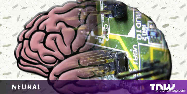 Stop debating whether AI is ‘sentient’ — the question is if we can trust it